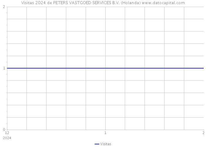 Visitas 2024 de PETERS VASTGOED SERVICES B.V. (Holanda) 