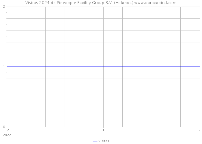 Visitas 2024 de Pineapple Facility Group B.V. (Holanda) 