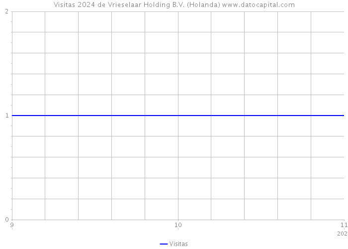 Visitas 2024 de Vrieselaar Holding B.V. (Holanda) 