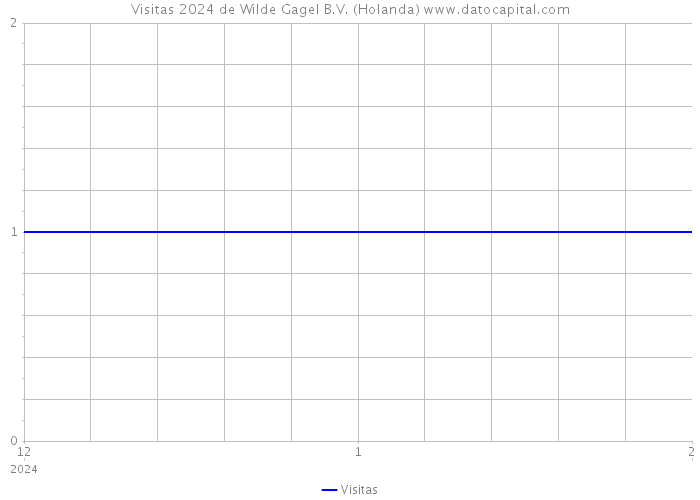 Visitas 2024 de Wilde Gagel B.V. (Holanda) 