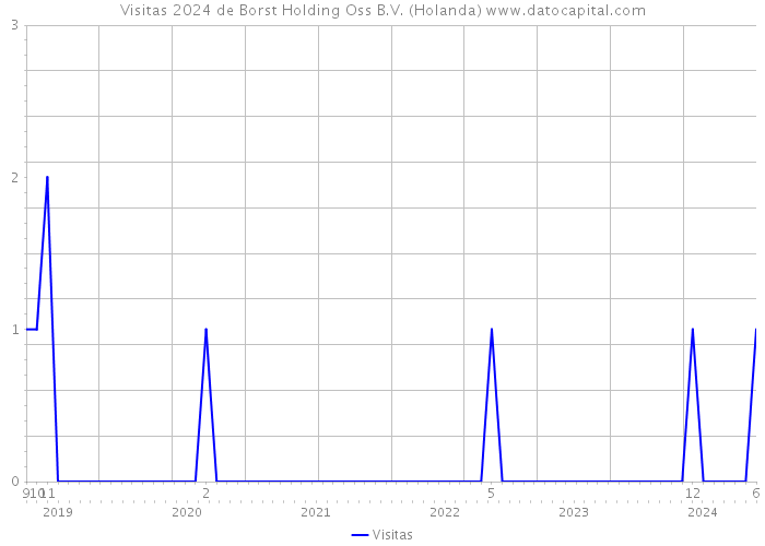 Visitas 2024 de Borst Holding Oss B.V. (Holanda) 