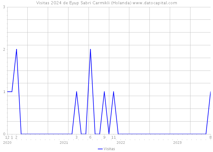 Visitas 2024 de Eyup Sabri Carmikli (Holanda) 