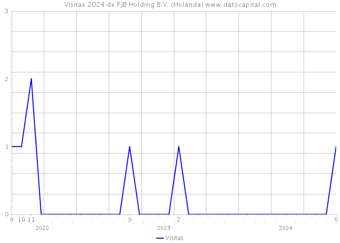 Visitas 2024 de FJB Holding B.V. (Holanda) 