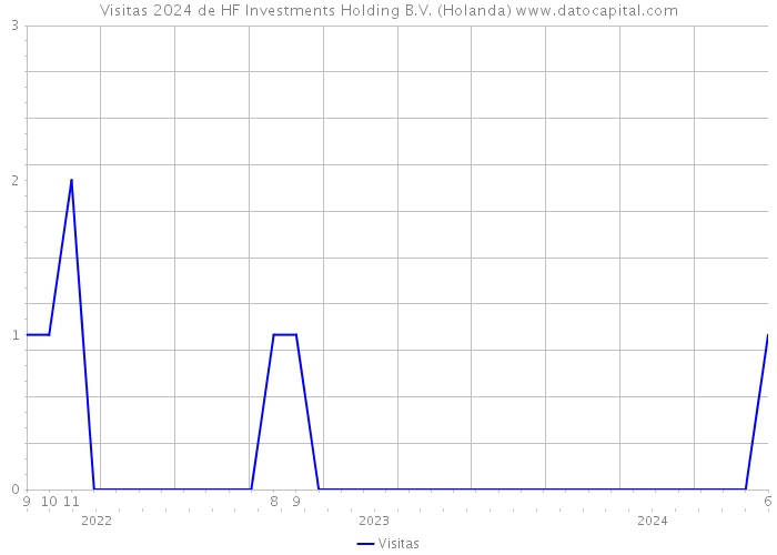 Visitas 2024 de HF Investments Holding B.V. (Holanda) 