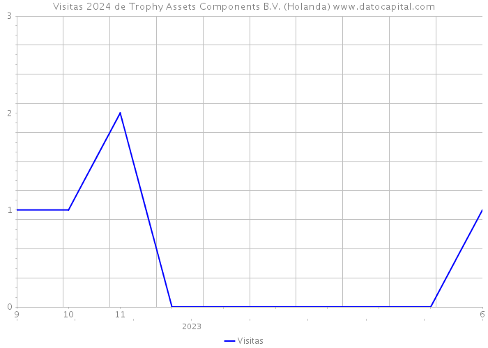 Visitas 2024 de Trophy Assets Components B.V. (Holanda) 