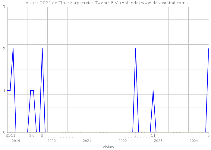 Visitas 2024 de Thuiszorgservice Twente B.V. (Holanda) 