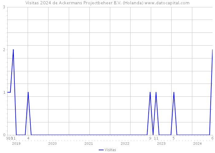 Visitas 2024 de Ackermans Projectbeheer B.V. (Holanda) 