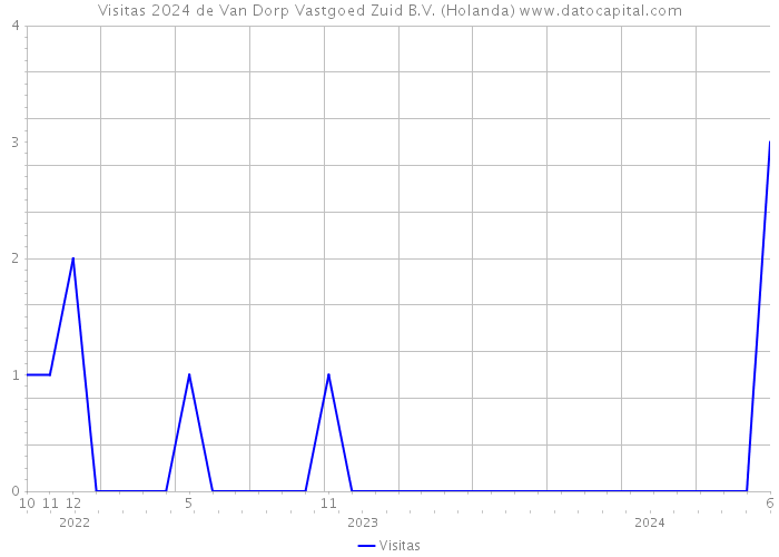 Visitas 2024 de Van Dorp Vastgoed Zuid B.V. (Holanda) 