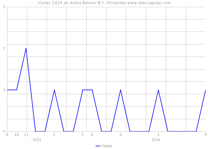 Visitas 2024 de Ankie Beheer B.V. (Holanda) 