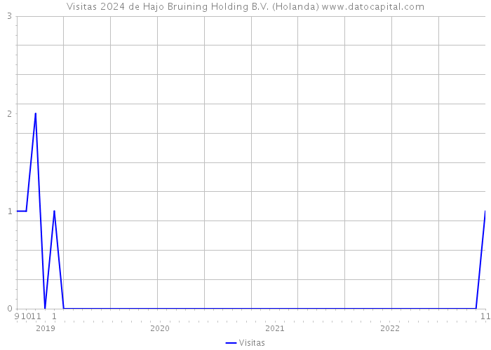 Visitas 2024 de Hajo Bruining Holding B.V. (Holanda) 