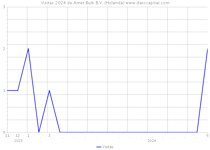 Visitas 2024 de Amer Bulk B.V. (Holanda) 