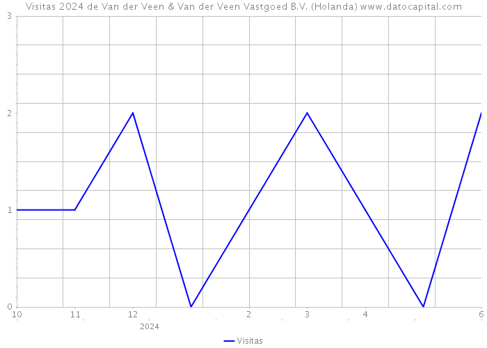 Visitas 2024 de Van der Veen & Van der Veen Vastgoed B.V. (Holanda) 