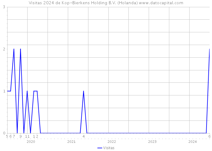 Visitas 2024 de Kop-Bierkens Holding B.V. (Holanda) 