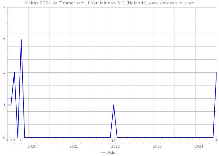 Visitas 2024 de Timmerbedrijf Van Minnen B.V. (Holanda) 