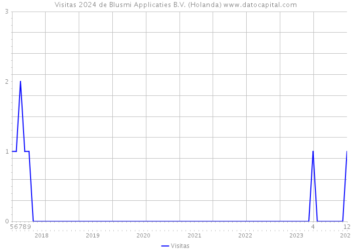 Visitas 2024 de Blusmi Applicaties B.V. (Holanda) 