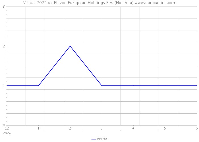 Visitas 2024 de Elavon European Holdings B.V. (Holanda) 