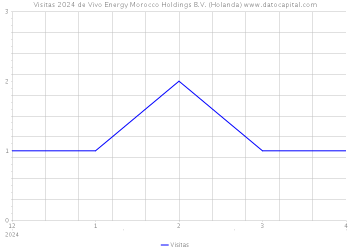 Visitas 2024 de Vivo Energy Morocco Holdings B.V. (Holanda) 