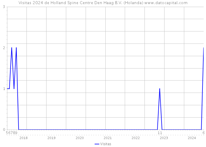 Visitas 2024 de Holland Spine Centre Den Haag B.V. (Holanda) 