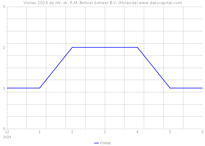 Visitas 2024 de mr. dr. R.M. Beltzer beheer B.V. (Holanda) 