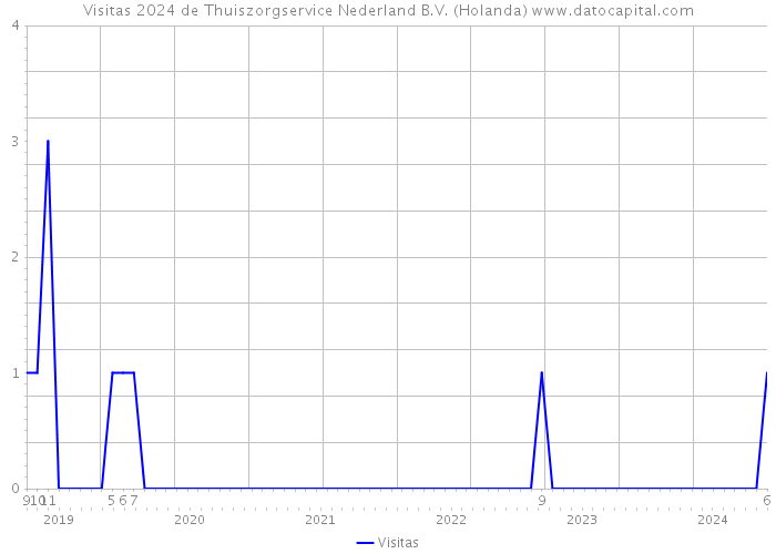 Visitas 2024 de Thuiszorgservice Nederland B.V. (Holanda) 