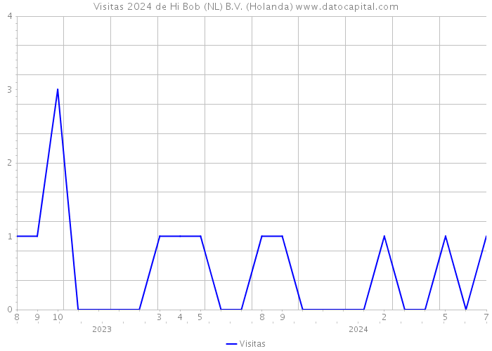 Visitas 2024 de Hi Bob (NL) B.V. (Holanda) 