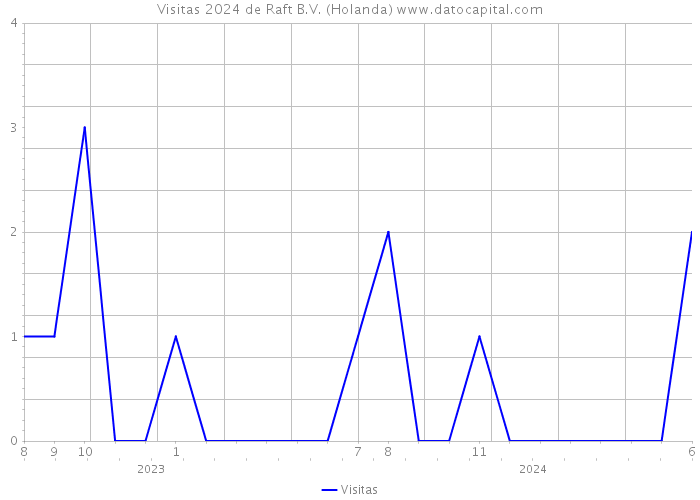 Visitas 2024 de Raft B.V. (Holanda) 