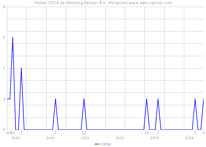 Visitas 2024 de Mensing Beheer B.V. (Holanda) 