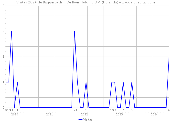 Visitas 2024 de Baggerbedrijf De Boer Holding B.V. (Holanda) 