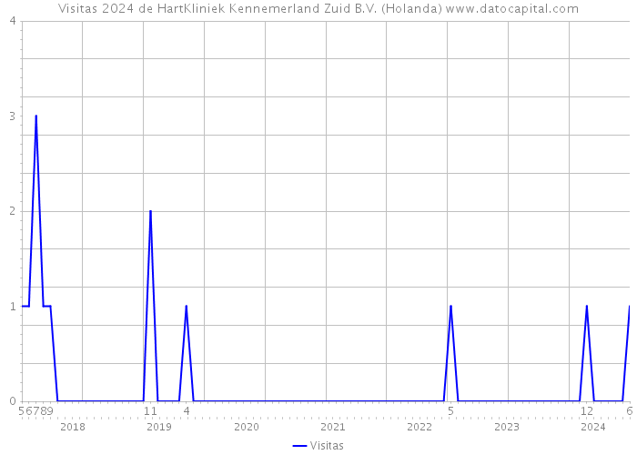 Visitas 2024 de HartKliniek Kennemerland Zuid B.V. (Holanda) 