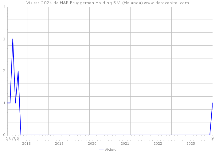 Visitas 2024 de H&R Bruggeman Holding B.V. (Holanda) 
