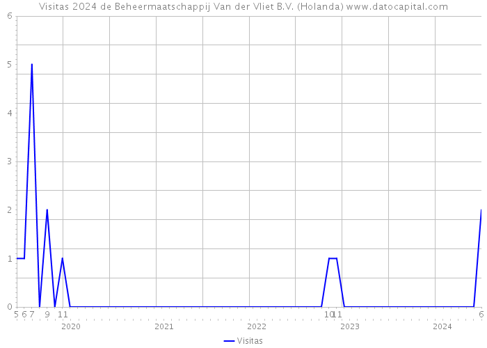 Visitas 2024 de Beheermaatschappij Van der Vliet B.V. (Holanda) 