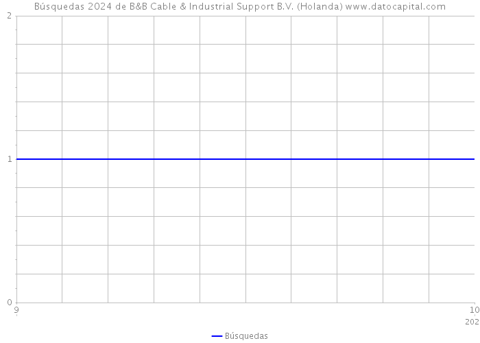 Búsquedas 2024 de B&B Cable & Industrial Support B.V. (Holanda) 
