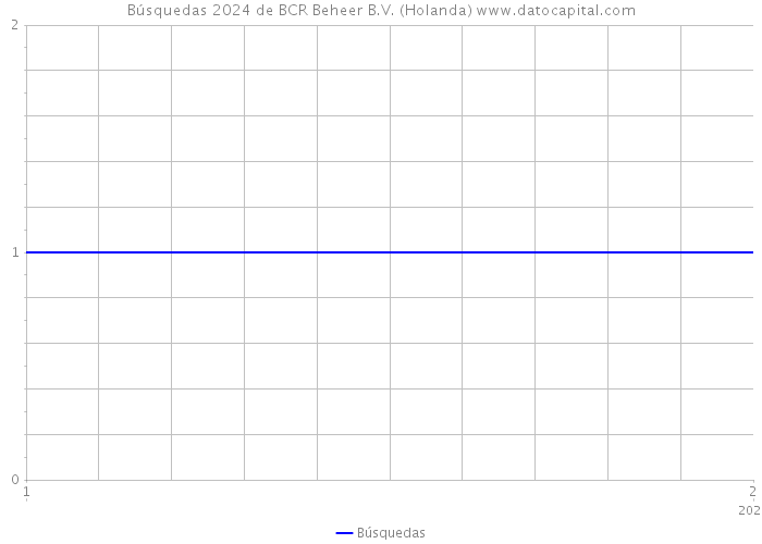 Búsquedas 2024 de BCR Beheer B.V. (Holanda) 