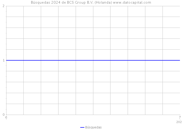 Búsquedas 2024 de BCS Group B.V. (Holanda) 