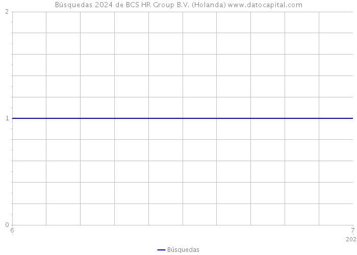 Búsquedas 2024 de BCS HR Group B.V. (Holanda) 