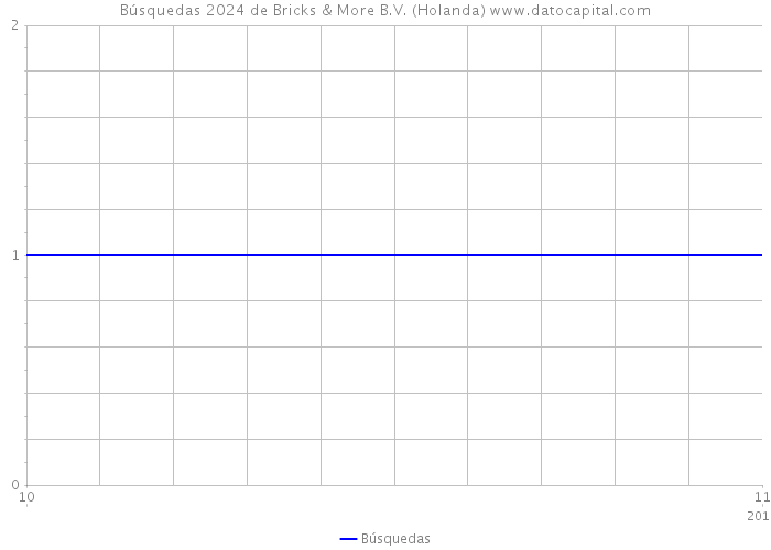 Búsquedas 2024 de Bricks & More B.V. (Holanda) 