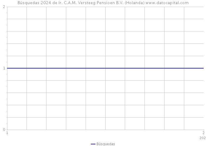 Búsquedas 2024 de Ir. C.A.M. Versteeg Pensioen B.V. (Holanda) 