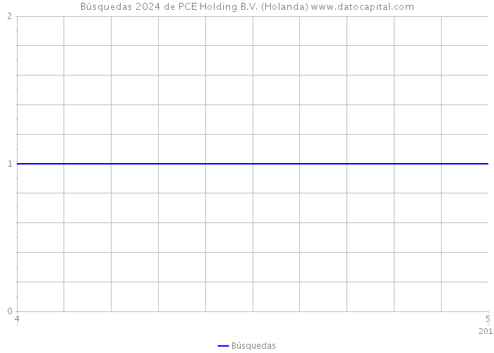 Búsquedas 2024 de PCE Holding B.V. (Holanda) 