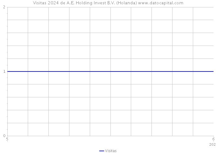 Visitas 2024 de A.E. Holding Invest B.V. (Holanda) 