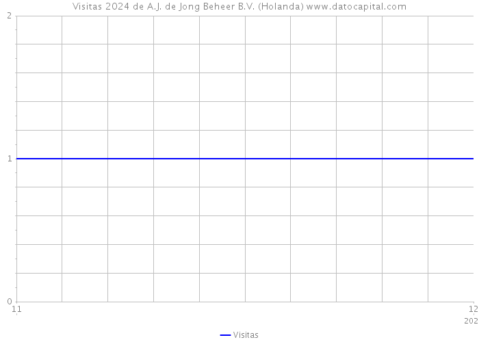 Visitas 2024 de A.J. de Jong Beheer B.V. (Holanda) 