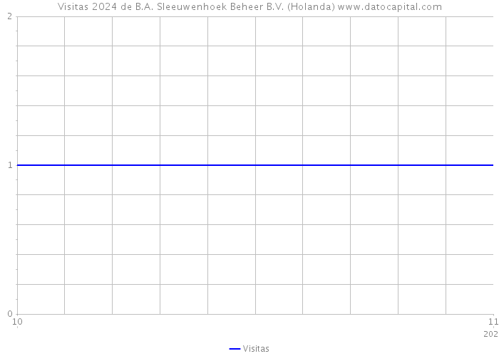 Visitas 2024 de B.A. Sleeuwenhoek Beheer B.V. (Holanda) 