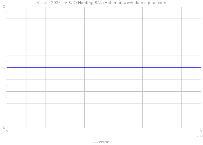 Visitas 2024 de BUO Holding B.V. (Holanda) 