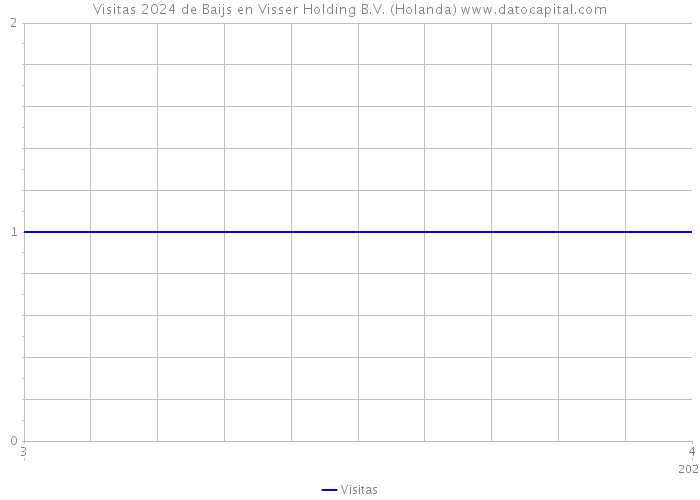 Visitas 2024 de Baijs en Visser Holding B.V. (Holanda) 