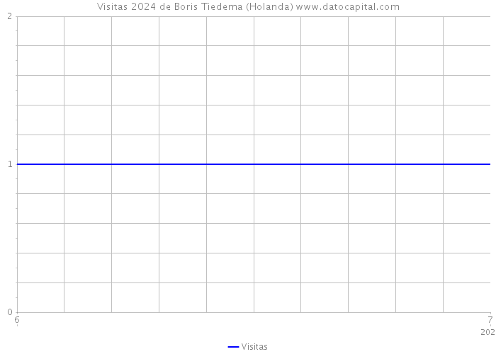 Visitas 2024 de Boris Tiedema (Holanda) 