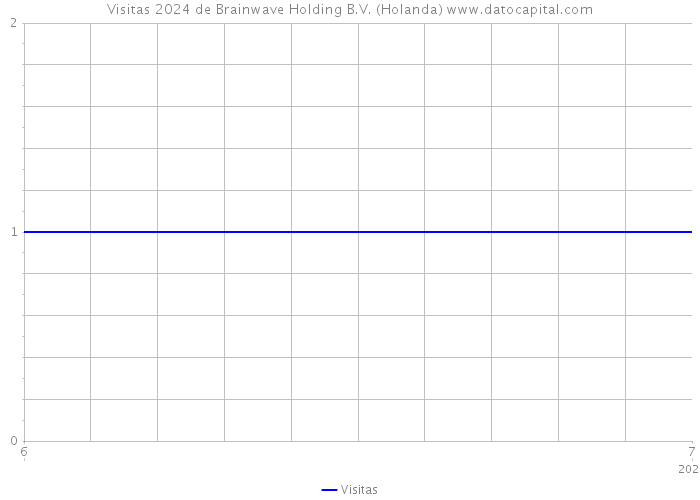 Visitas 2024 de Brainwave Holding B.V. (Holanda) 