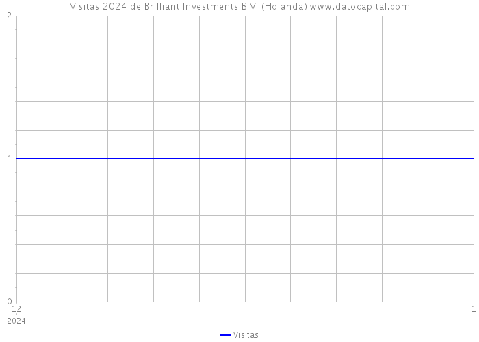 Visitas 2024 de Brilliant Investments B.V. (Holanda) 