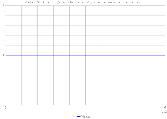 Visitas 2024 de Bully's Gym Arnhem B.V. (Holanda) 