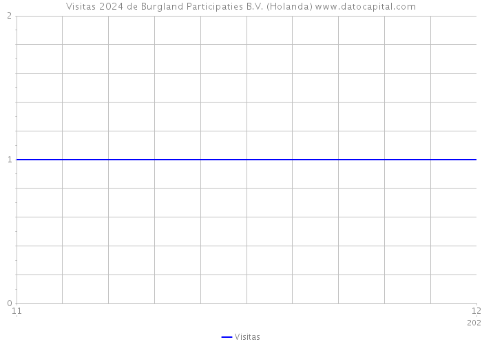 Visitas 2024 de Burgland Participaties B.V. (Holanda) 