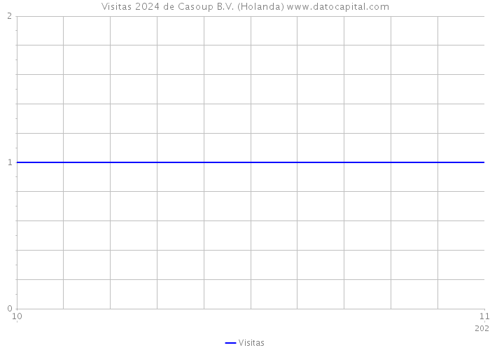 Visitas 2024 de Casoup B.V. (Holanda) 