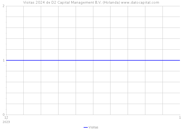 Visitas 2024 de D2 Capital Management B.V. (Holanda) 